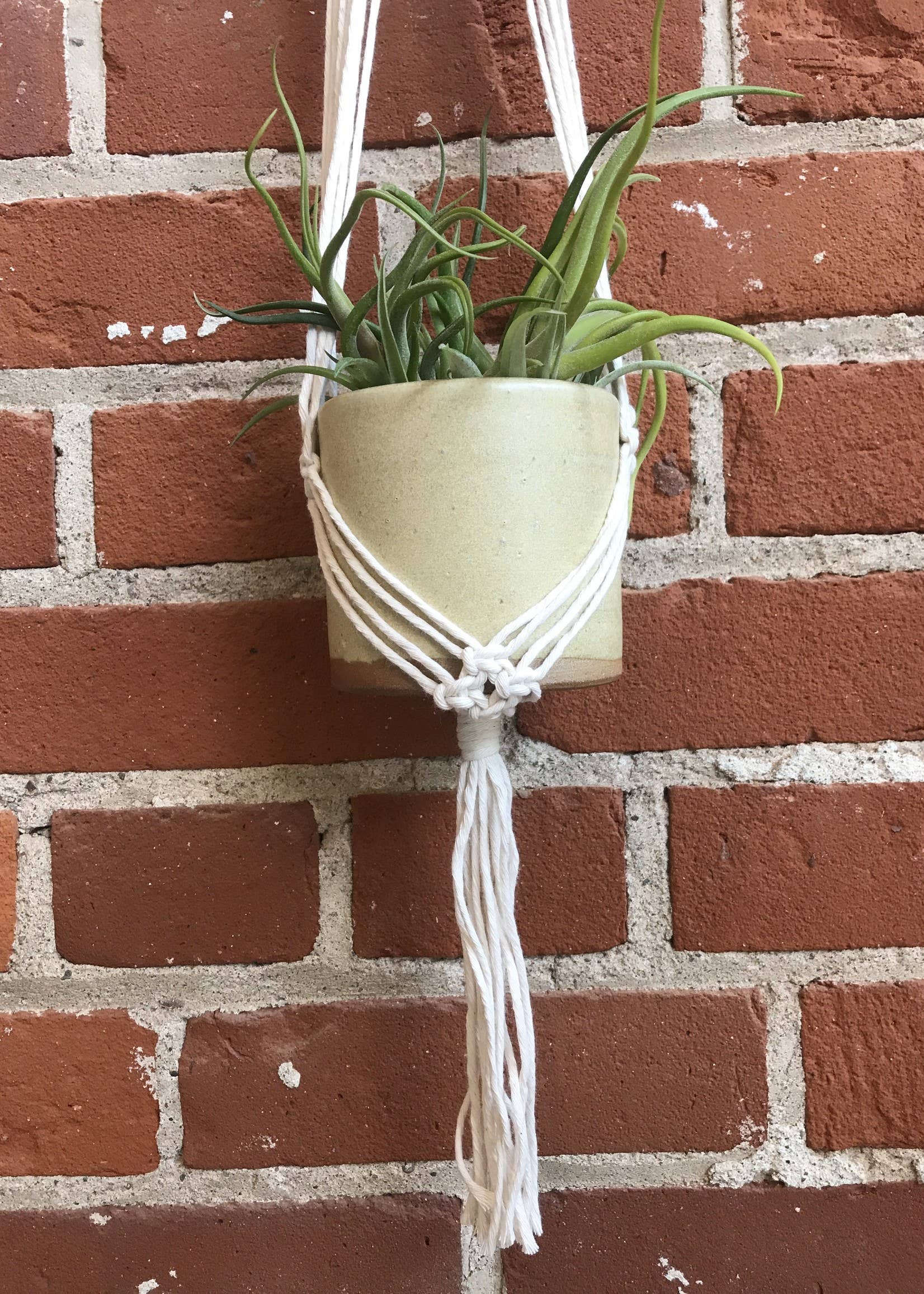 Tangled Up In Hue - Wholesale DIY Craft Kit - DIY Macrame Plant Hanger Kit - The Evelyn6
