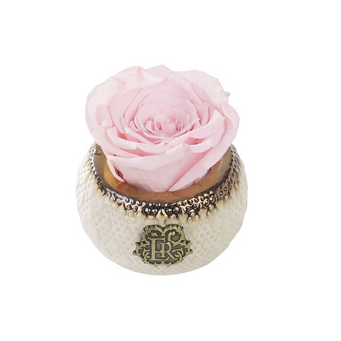 Eternal Roses® - Wholesale Artificial Flowers - Mini Soho Classic Eternal Luxury Rose7