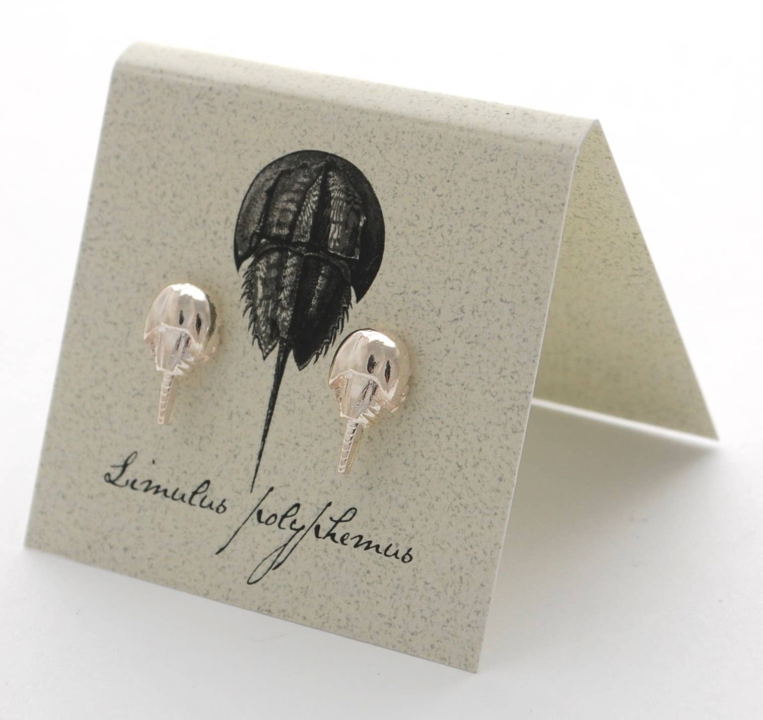 Semaki & Bird – wholesale Solitärörhängen – Hästskokrabba Örhängen - silver Naturhistoria4