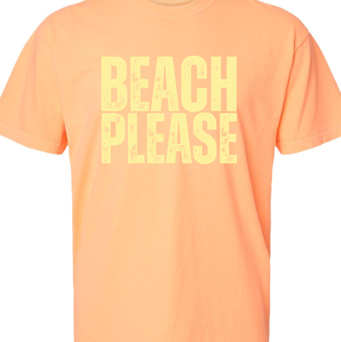 Kiki's Boutique - Wholesale Screen Printed T-Shirt - Women's - Beach Please Comfort Color Tee 1