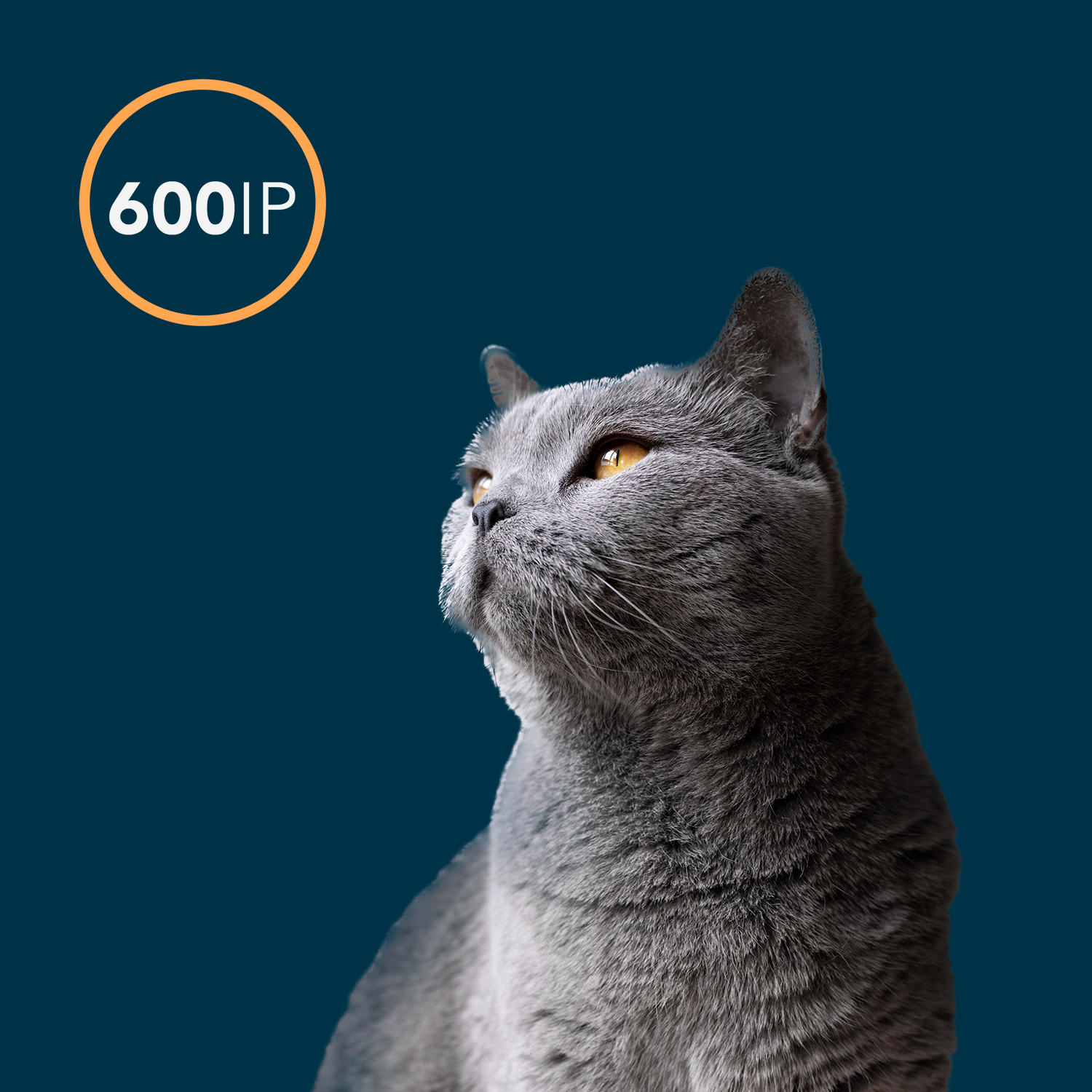 OxxyO3 VET - Wholesale Pet Soap - Dog - Oxxy Vet Soap Pets 100 g1