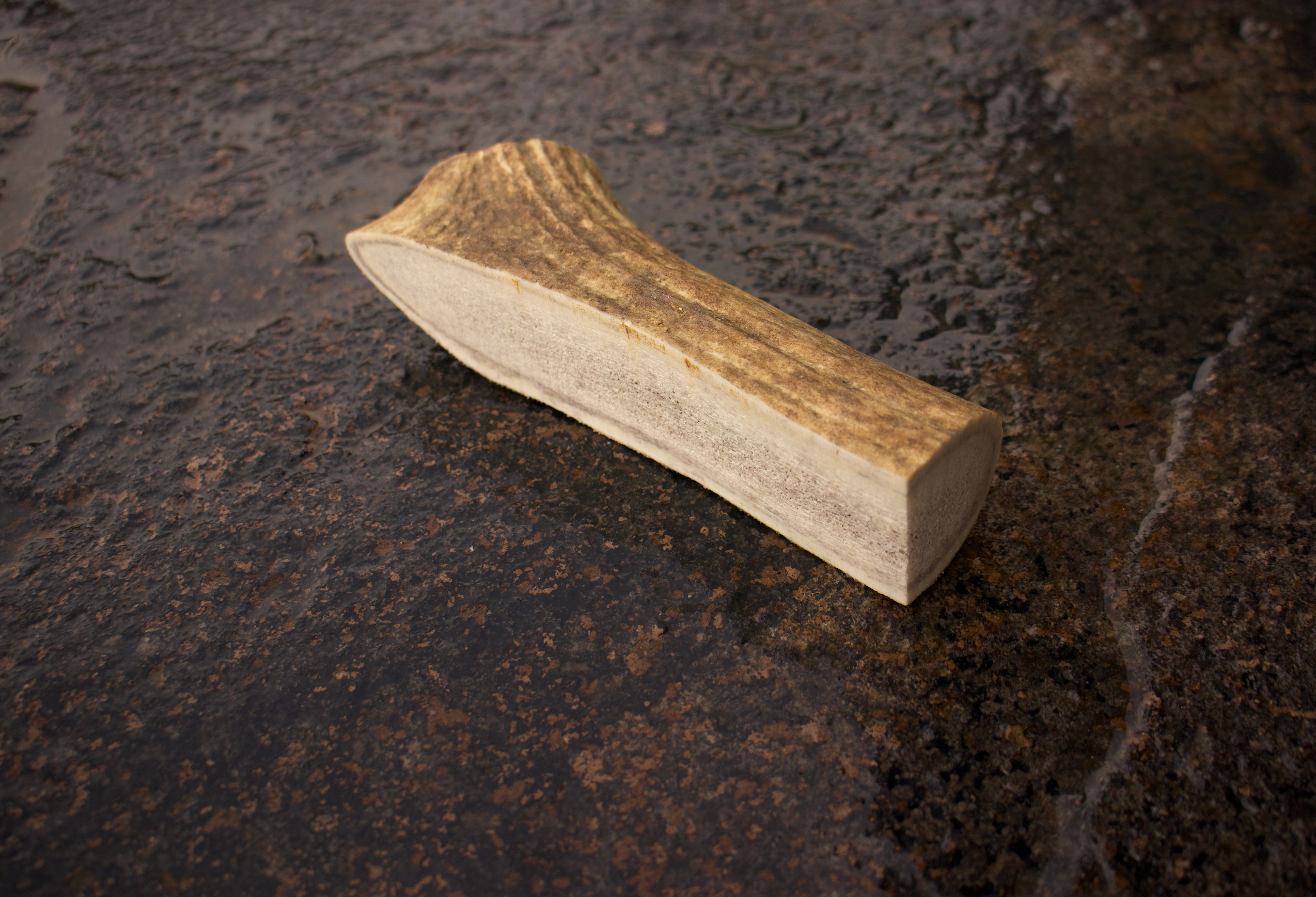 Montana Antler Mercantile - Wholesale Pet Chew Toy - Dog - Elk Antler Dog Chews – 100% Natural, Montana-Sourced
2