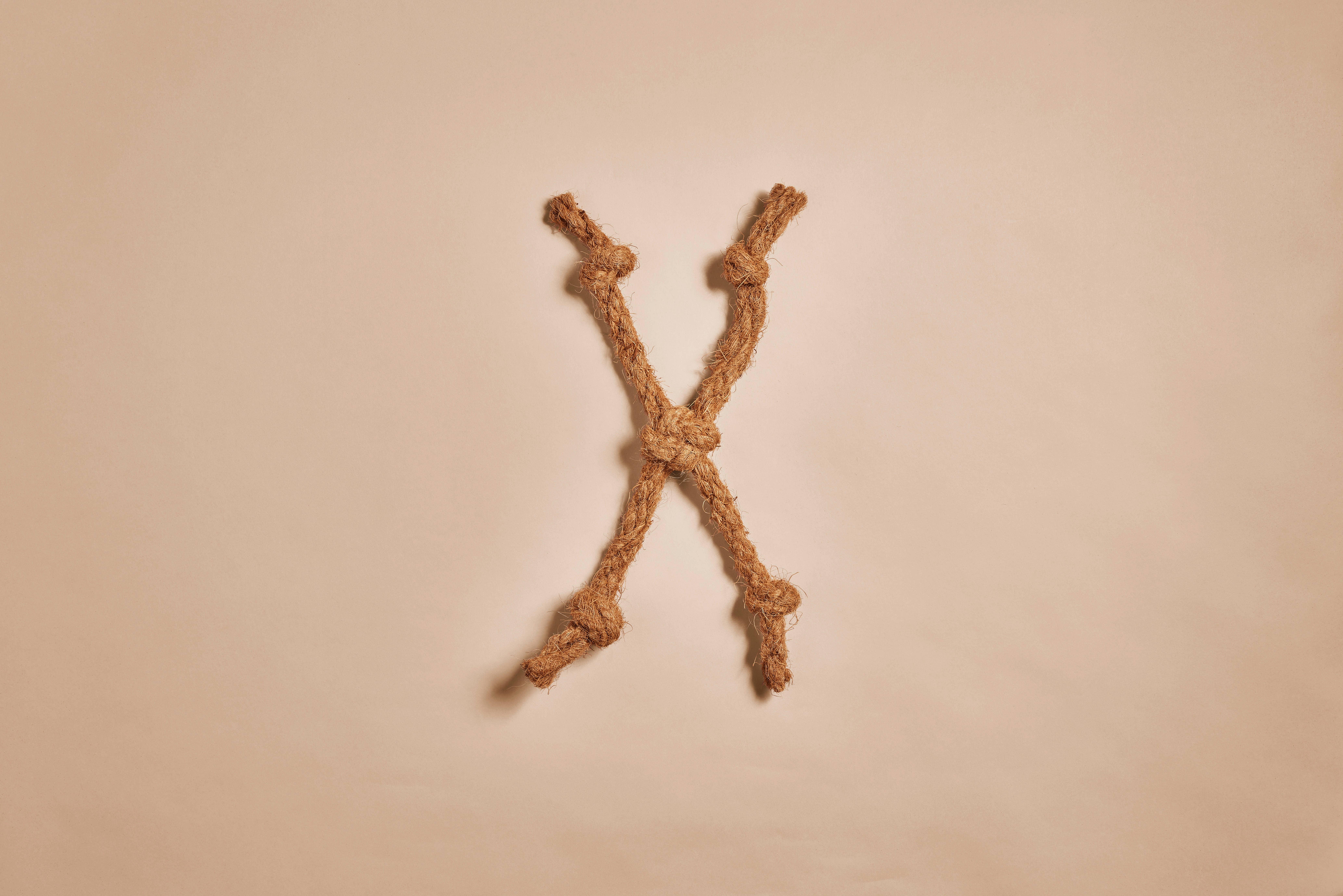 CANOPHERA GmbH - Wholesale Pet Rope Toy - Dog - COCOSPIDER. Dog Chew Made of Coconut Rope2