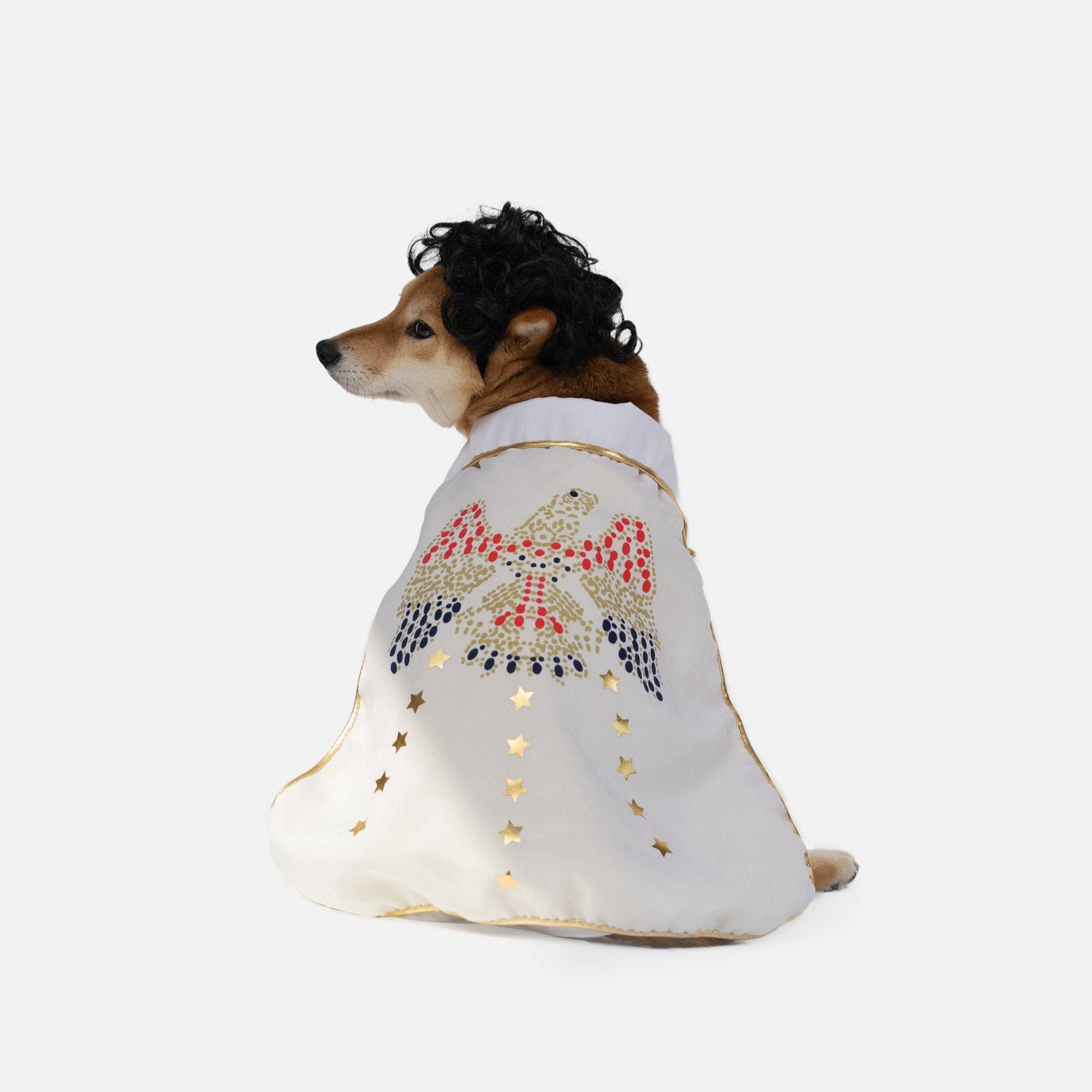 White Elvis Showman Dog Costume for wholesale on Faire