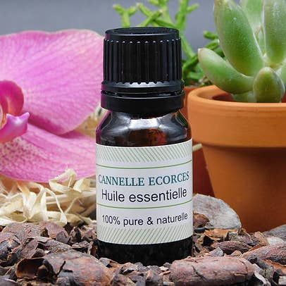 HE de Cannelle écorces pour la vente par PUR SENS