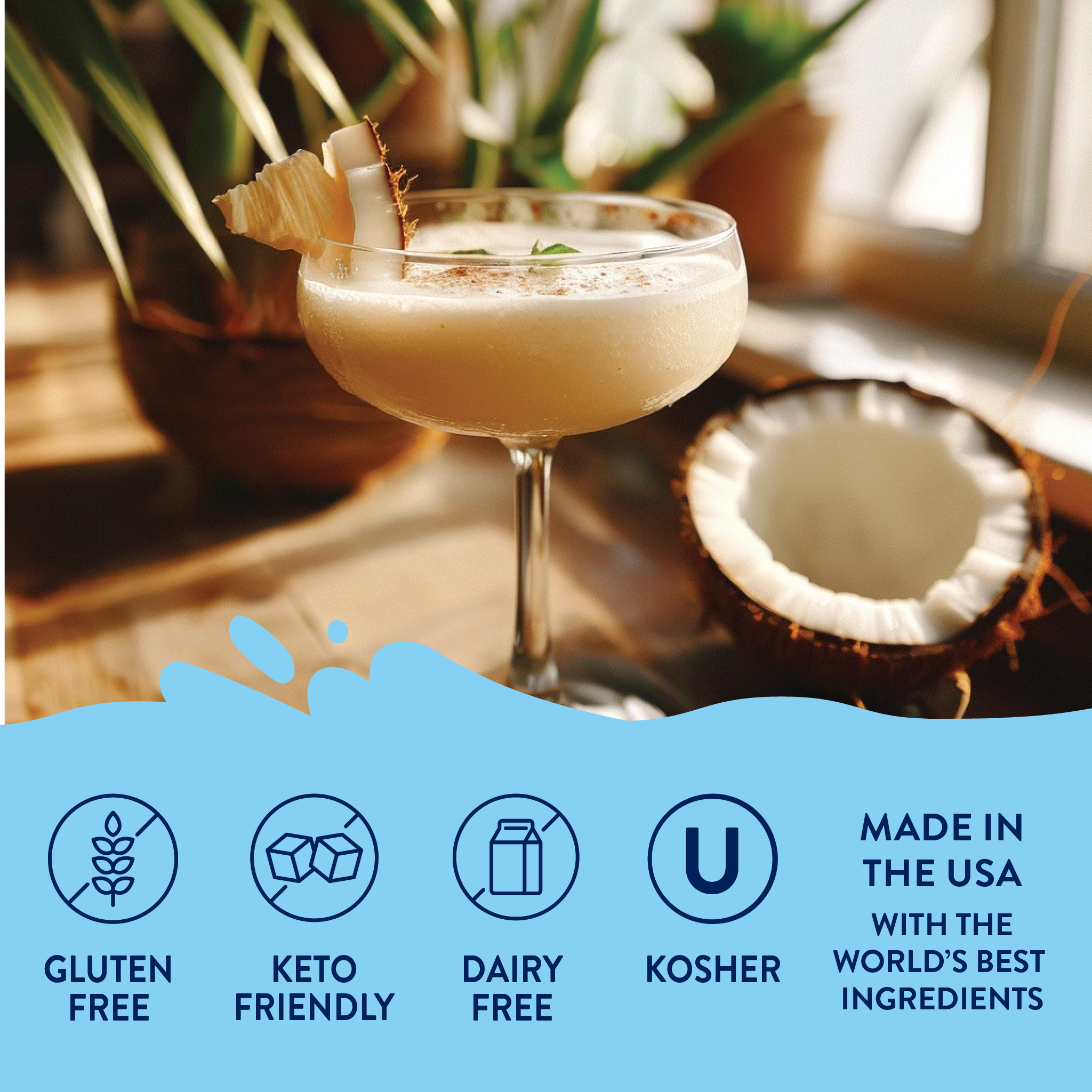 Jordan's Skinny Mixes - Wholesale Cocktail Mix/Syrup - Sugar Free Coconut Syrup4