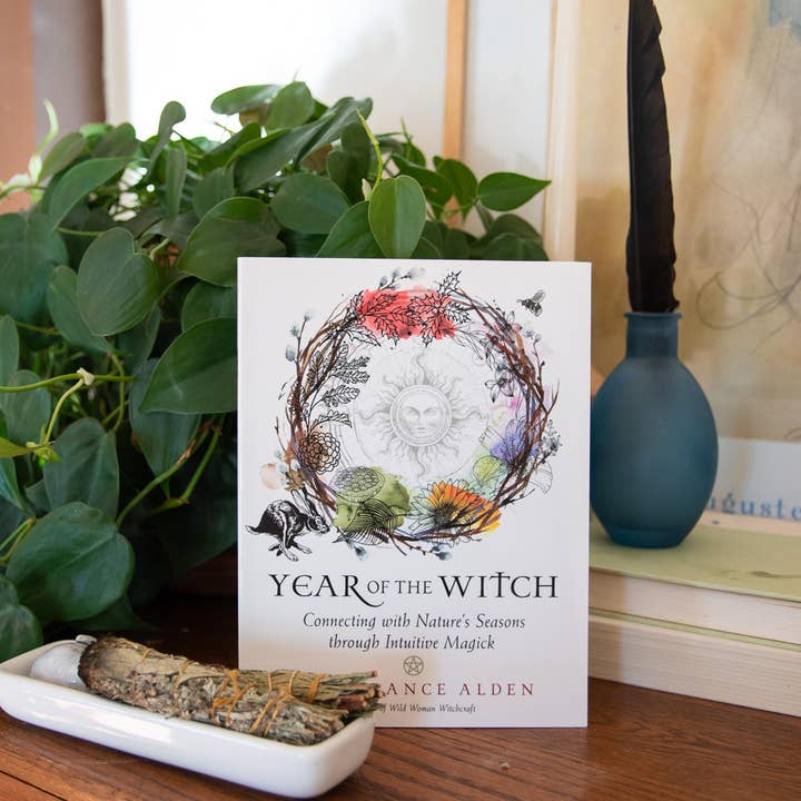 Red Wheel/Weiser LLC - Wholesale Body, Mind & Spirit - Year of the Witch (Paperback)