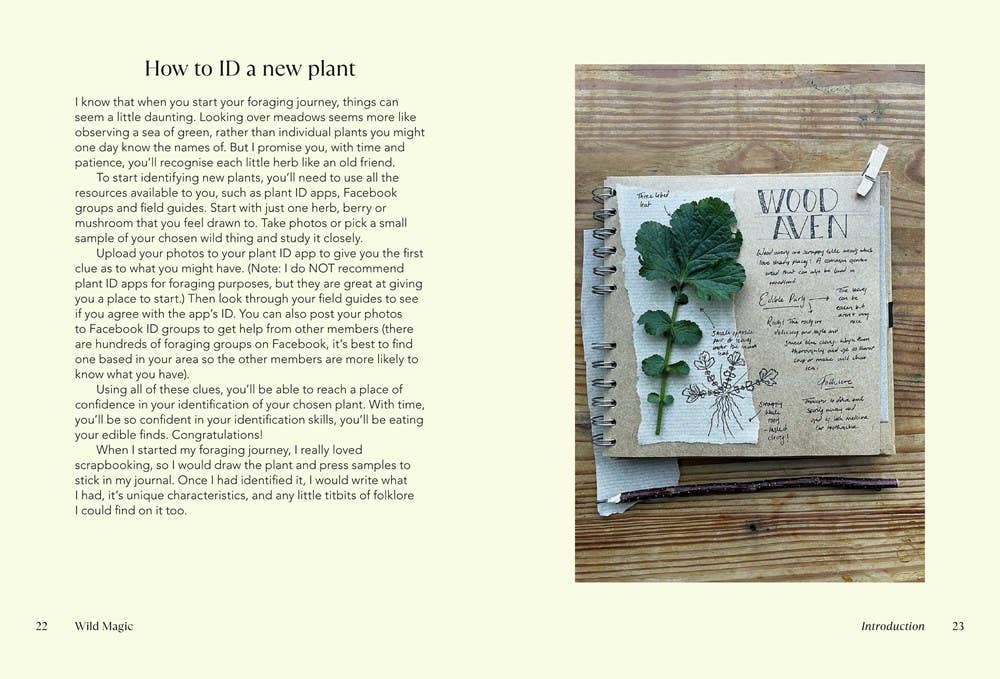 Independent Publishers Group - Vente Nature & Outdoors - Magie sauvage7