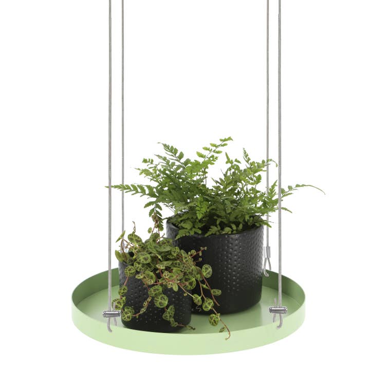 PY120 - Plant Tray Hanging Round L for wholesale by Fallen Fruits Ltd