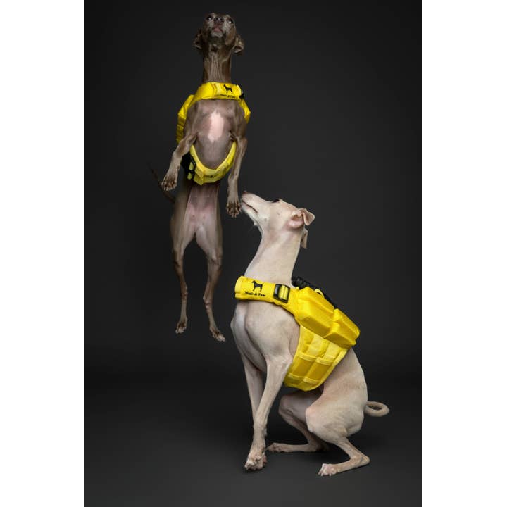 NOAH AND PAW LLC – Großhandel Haustierjacke – Hund – Human Standards Hundeschwimmweste mit 4-facher Schaumpolsterung für maximale Auftriebskraft – Gelb1