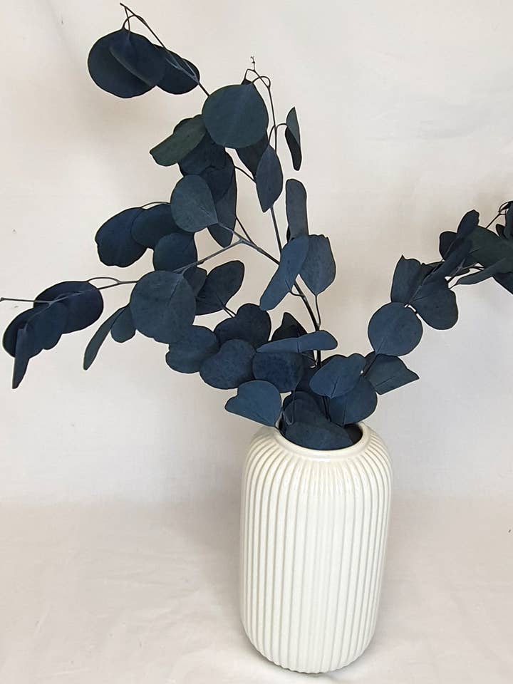 Konservierte Eukalyptusstängel (Silberdollar), Blau/Grün für den Großhandel von Opal Lily