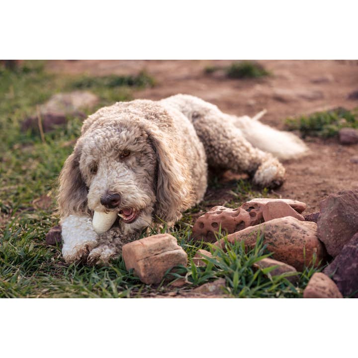 Fibres of Life - Wool & Felt - Wholesale Pet Toy - Dog - Felt Dog Bone Toy 5