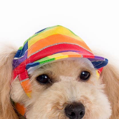 Rainbow Hat for wholesale by Dogo Pet