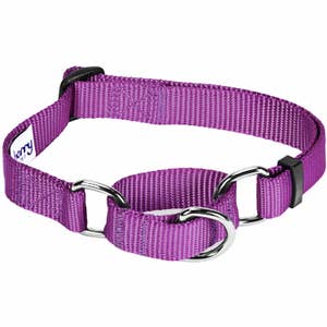 Bulk martingale dog collars deals