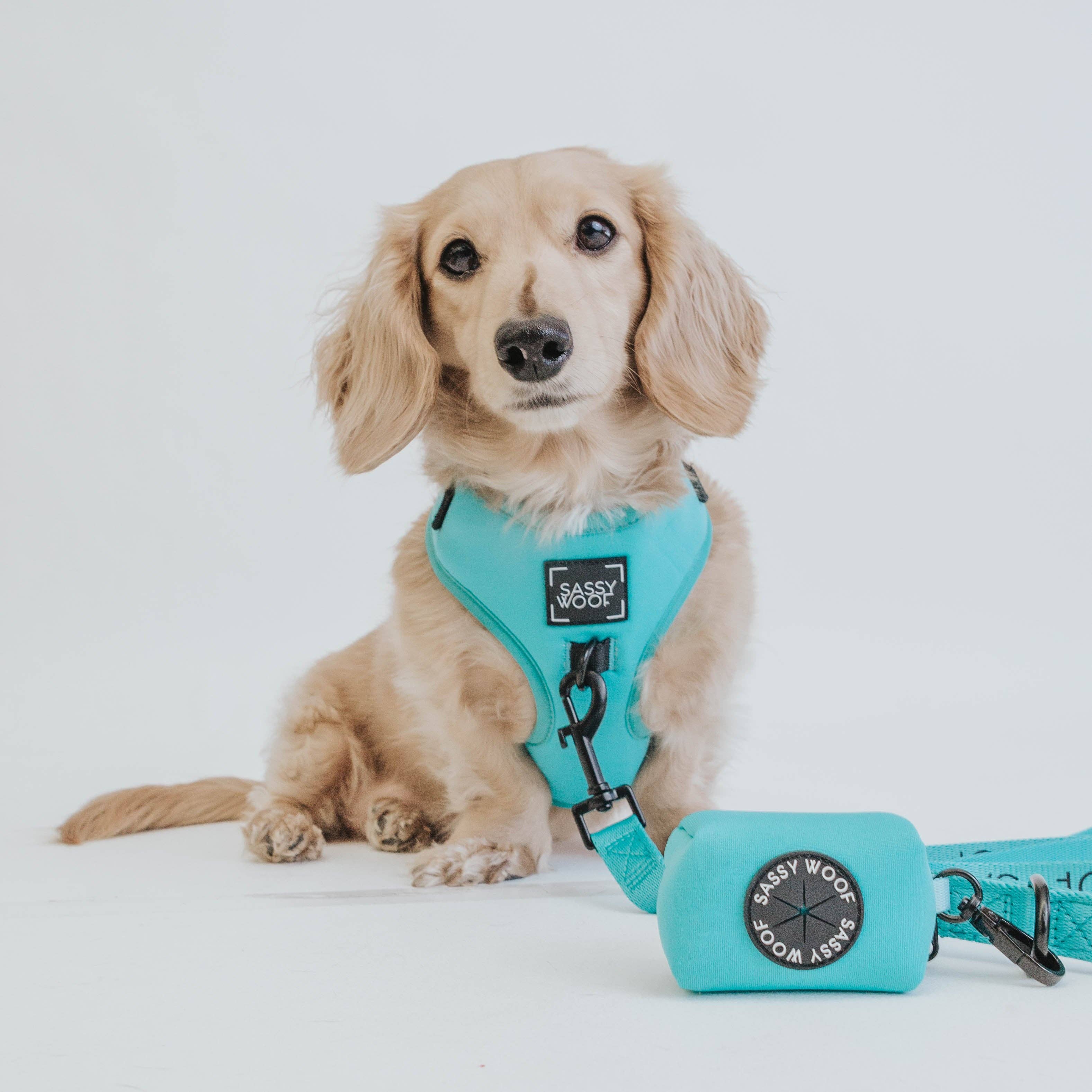 SASSY WOOF - Wholesale Pet Poop Bag Dispenser - Dog Waste Bag Holder - Neon Blue6