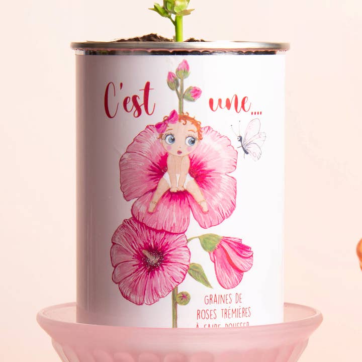 Zadenkit „C'est Une...” gemaakt in Frankrijk voor wholesale door MauvaisesGraines