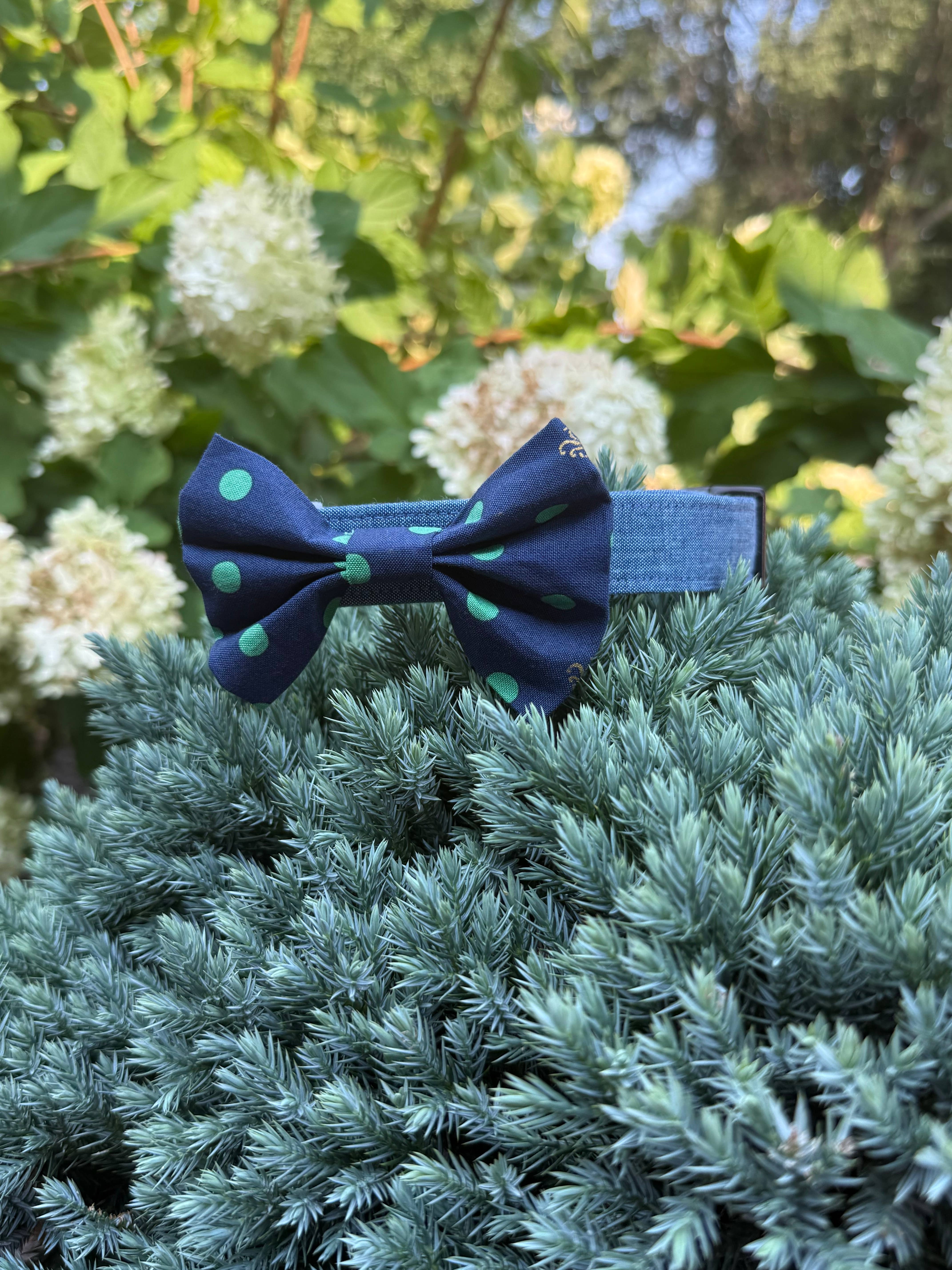 octopus bow tie