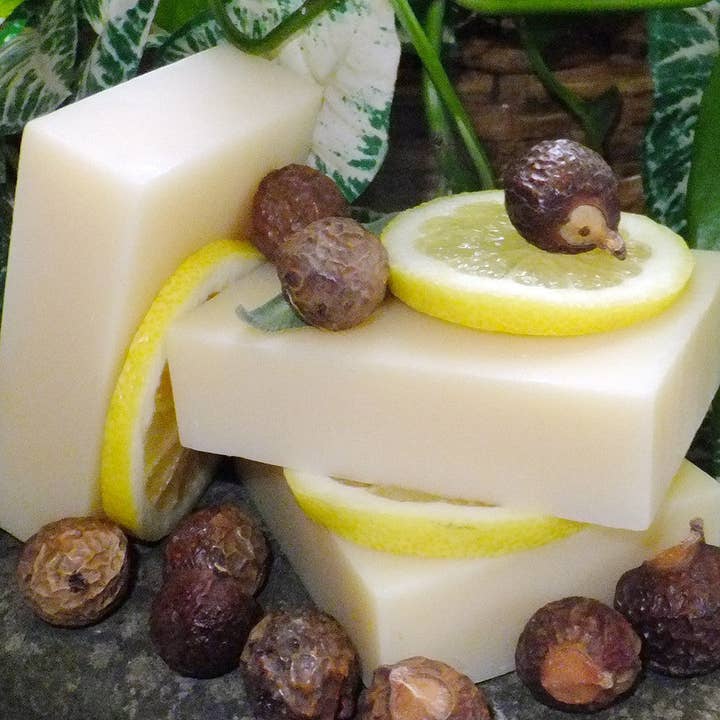 Chagrin Valley Soap - Wholesale Shampoo Puck/Solid Shampoo - Shampoo Bar: Soapnuts Citrus Mint