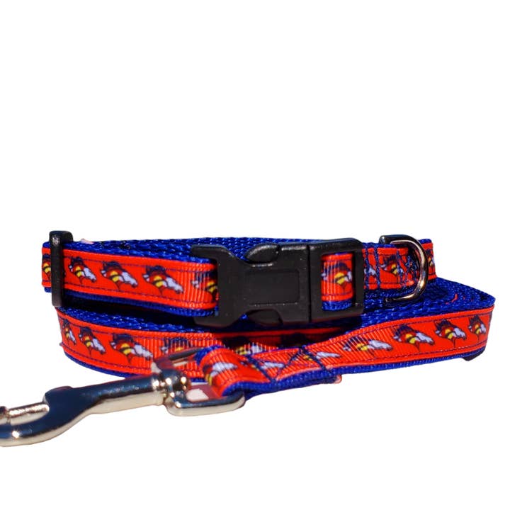 Collare o guinzaglio per cani Denver Broncos da 1/2" per la vendita all'ingrosso da parte di Rocky Mountain Hound