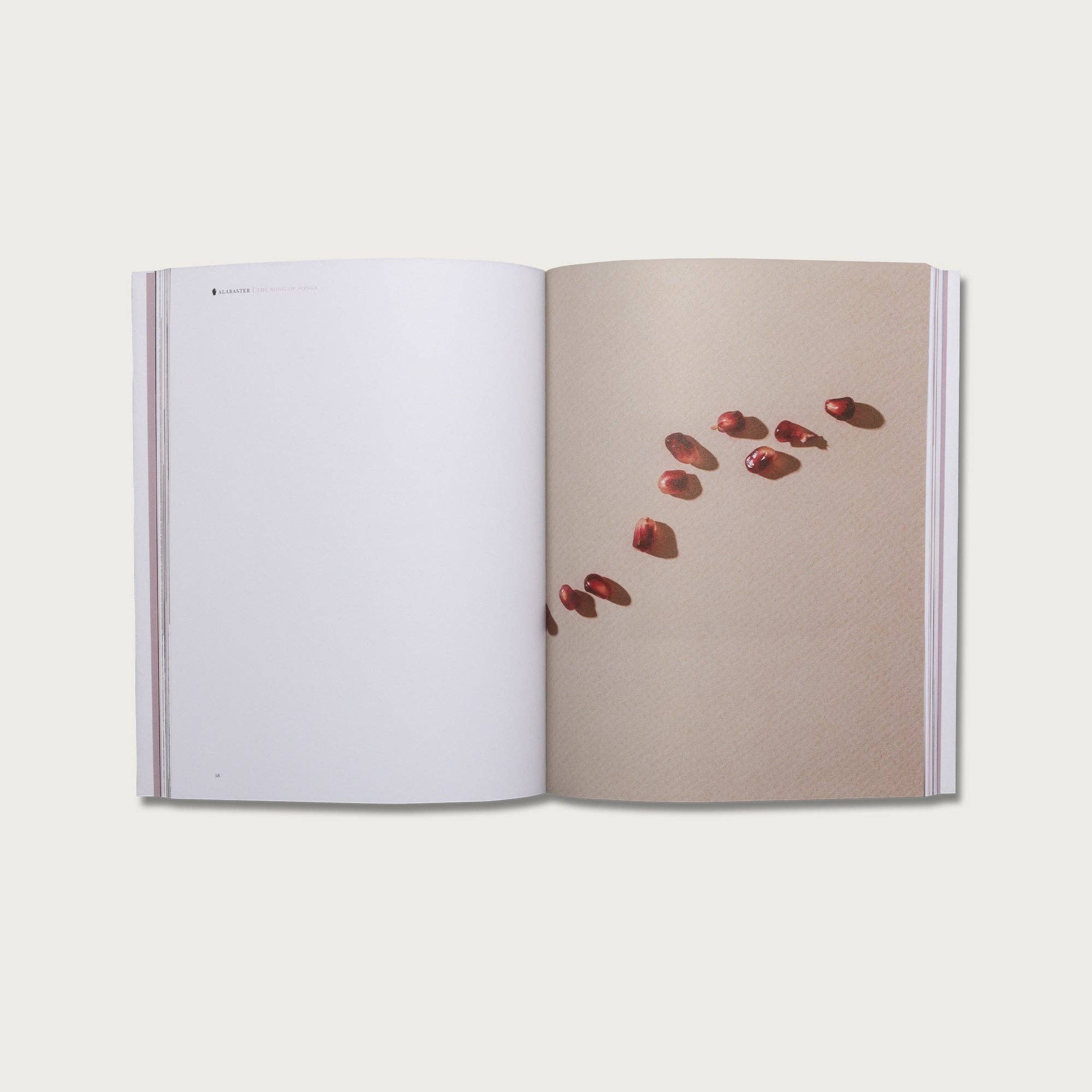 Alabaster Co - Wholesale Religion Book - The Song of Songs2