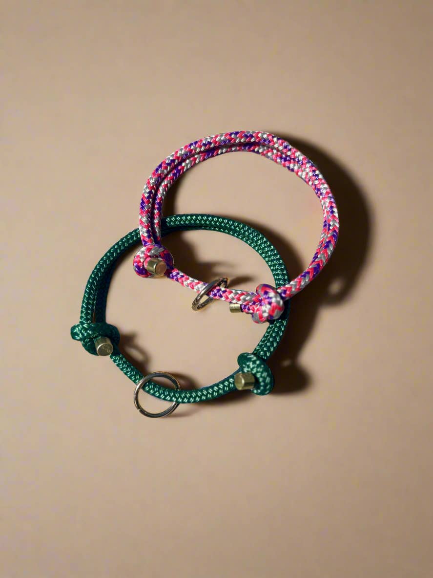 Lil Zoomi - Wholesale Pet collar – Dog - Dog House Collar