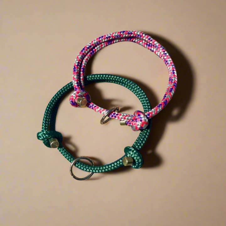 Lil Zoomi - Wholesale Pet collar – Dog - Dog House Collar0