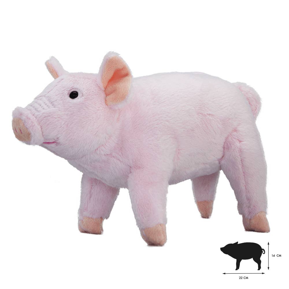 Wild Planet - Wholesale Stuffed/Plush Toy - Kids & Baby - All About Nature Babby Pig0