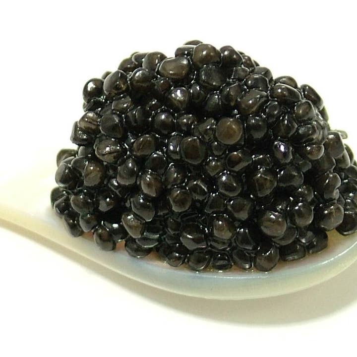 Delicatessen Spanish Food - Vendita all'ingrosso Pesce/frutti di mare - Caviale Sturia Oscietra - barattolo da 100 g