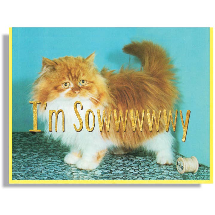 Eu sou o cartão Sowwway por atacado de Smitten Kitten