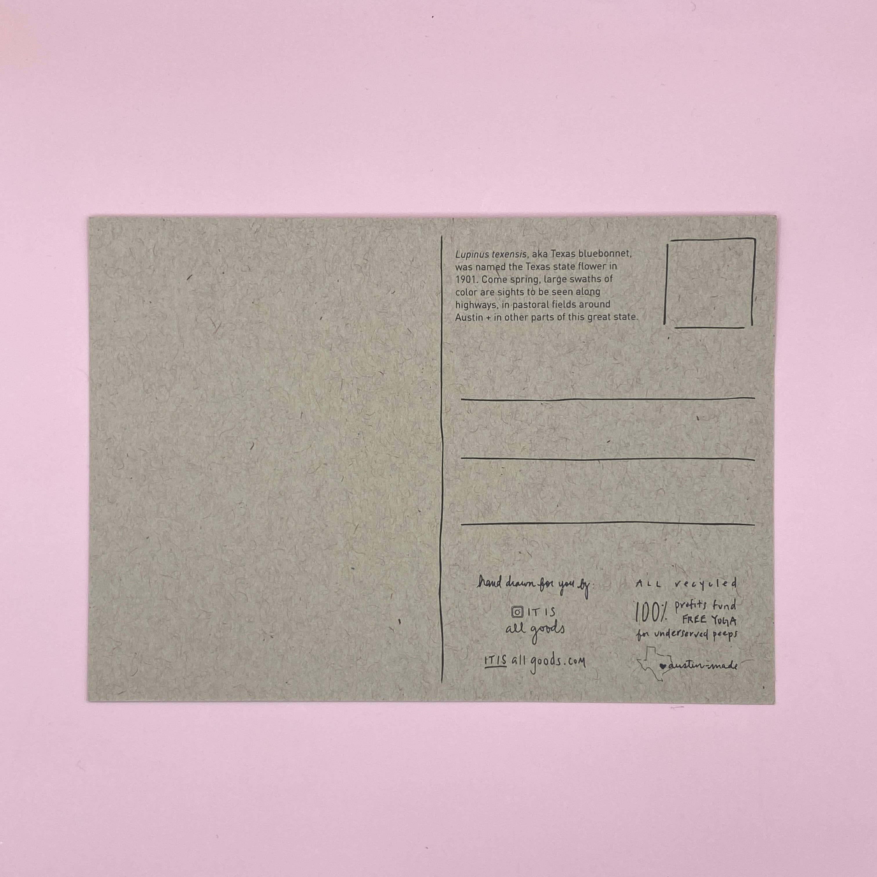 IT IS: All Goods - Wholesale Postcard - Bigger in Texas Bluebonnet | Postcard1