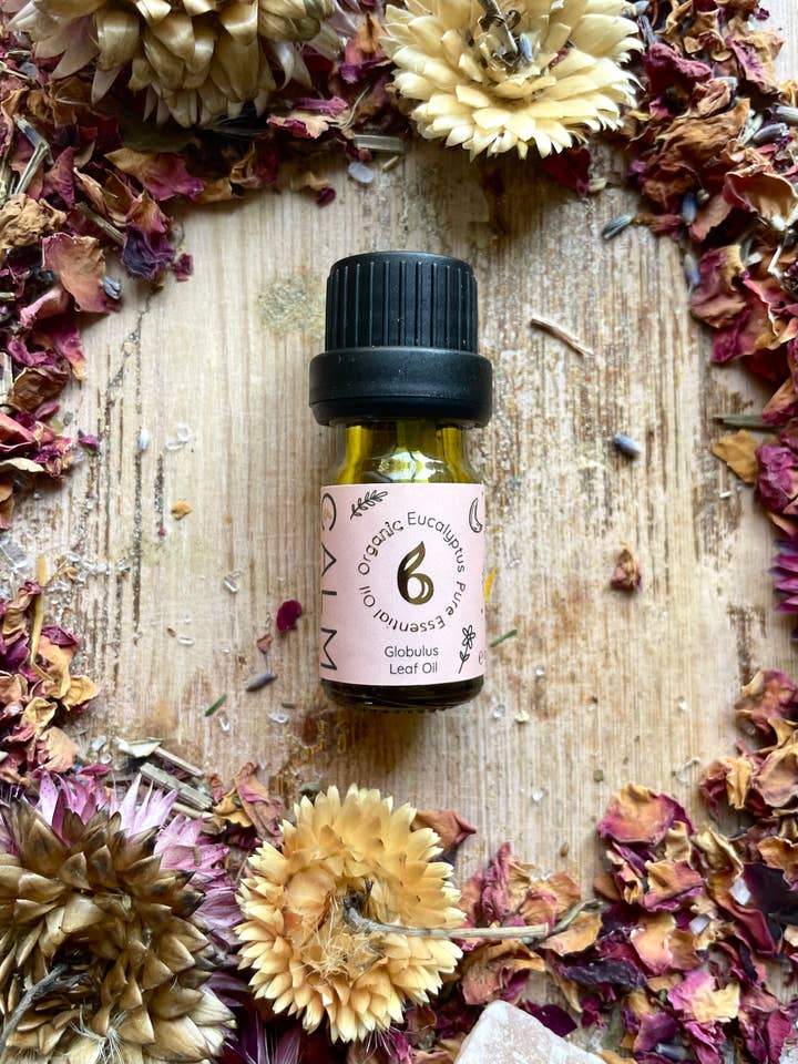 Eucalyptus Organic Essential Oil (10ml) for wholesale by B Calm Ltd