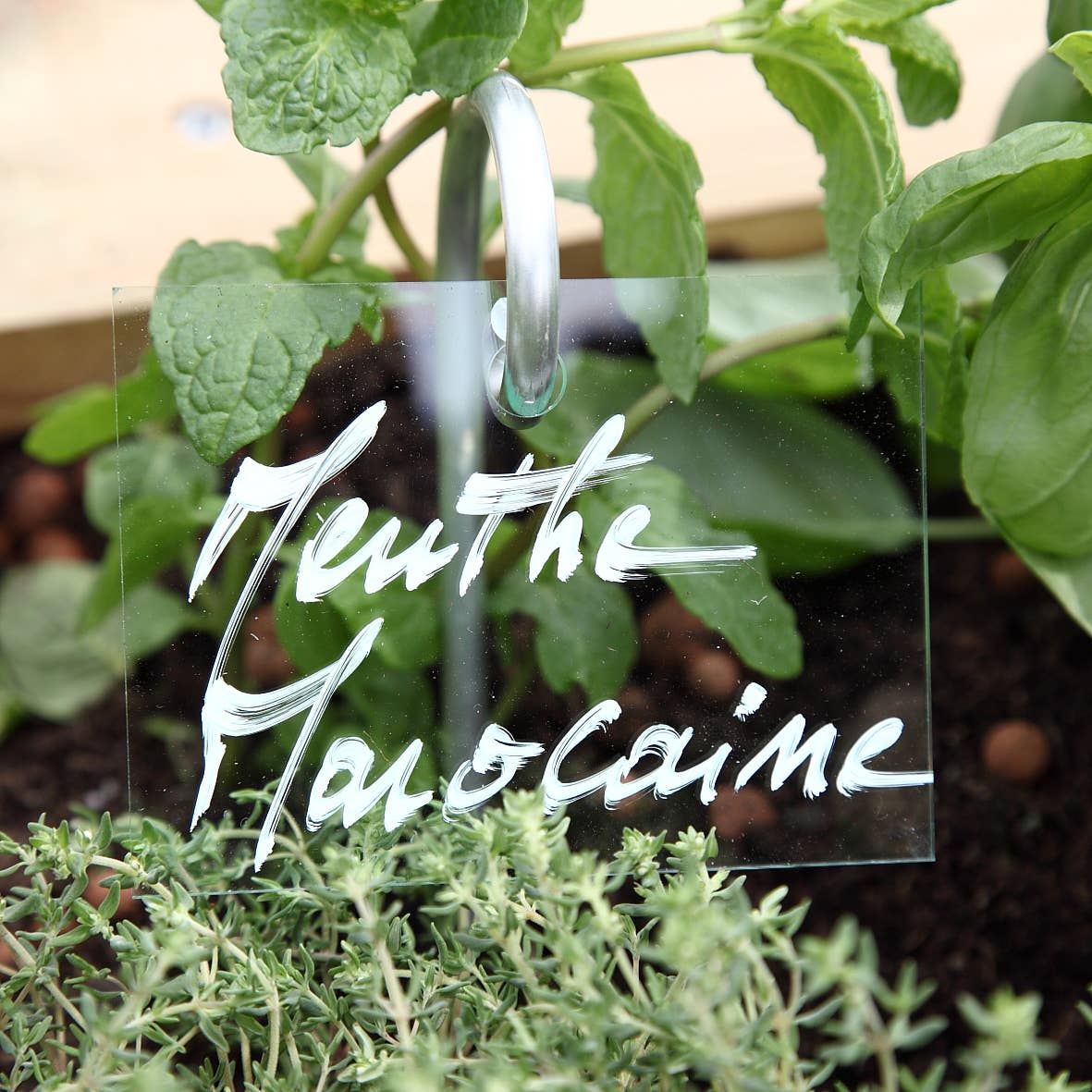 La Cordeline - Venta al por mayor Rotuladores - Marcador de tiza de 1 a 5 mm con punta biselada3