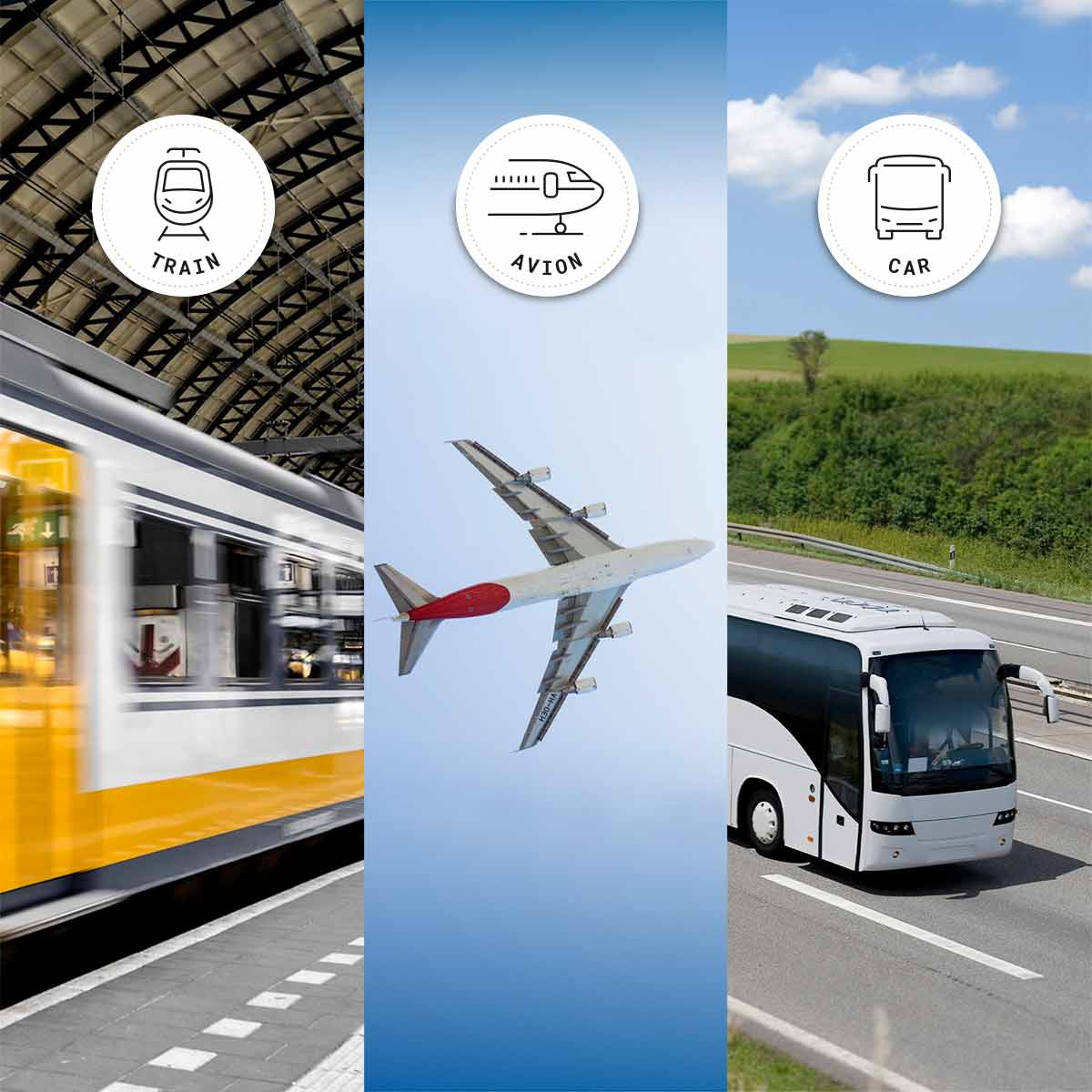 PETITS CADORS – Großhandel Reisekissen – ELLIPSE Reisekissen - Shinjuku7