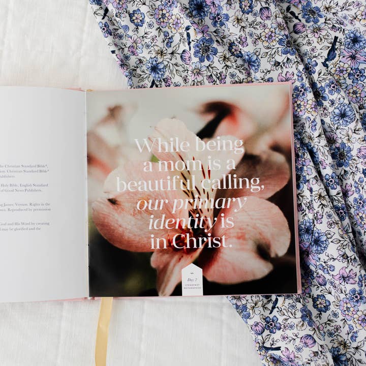 The Daily Grace Co - Wholesale Book - Adult - Steadfast Motherhood | 60 Days of Abiding in Christ