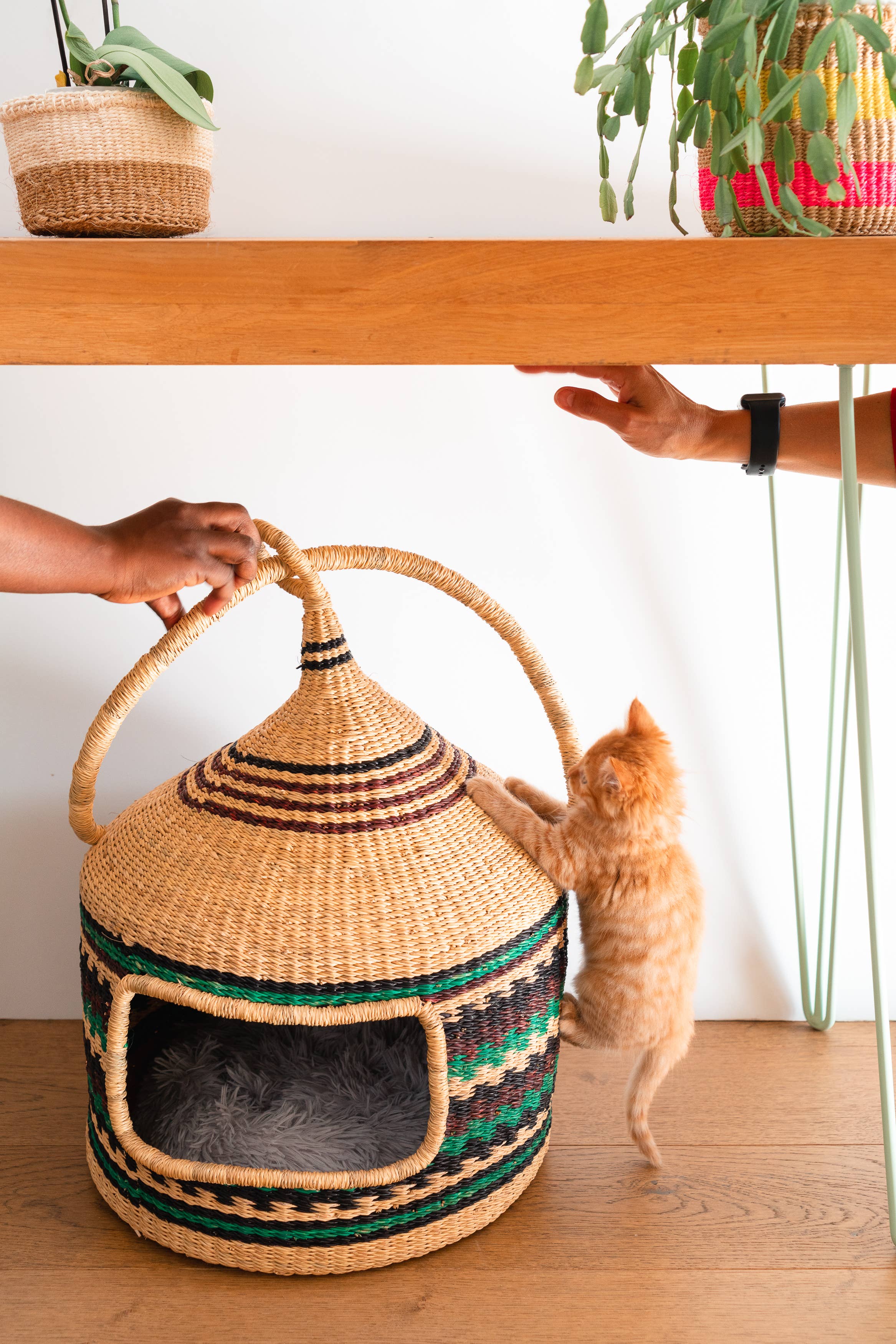 The Bam's Art Shop - Wholesale Pet Bed - Cat/Dog - Cat Pet basket Bed1