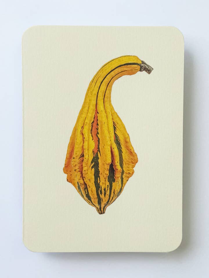 Ornamental Gourd No.5 Greeting Card | Autumn Fall Halloween for wholesale by Canonbury Press