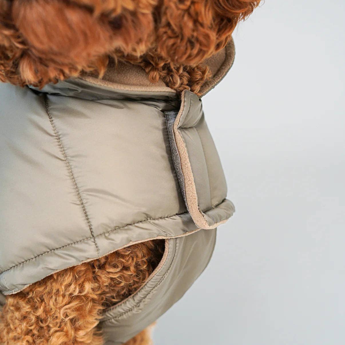 Staey – wholesale Hundjacka - Hund – Nora Hundjacka | Natur5