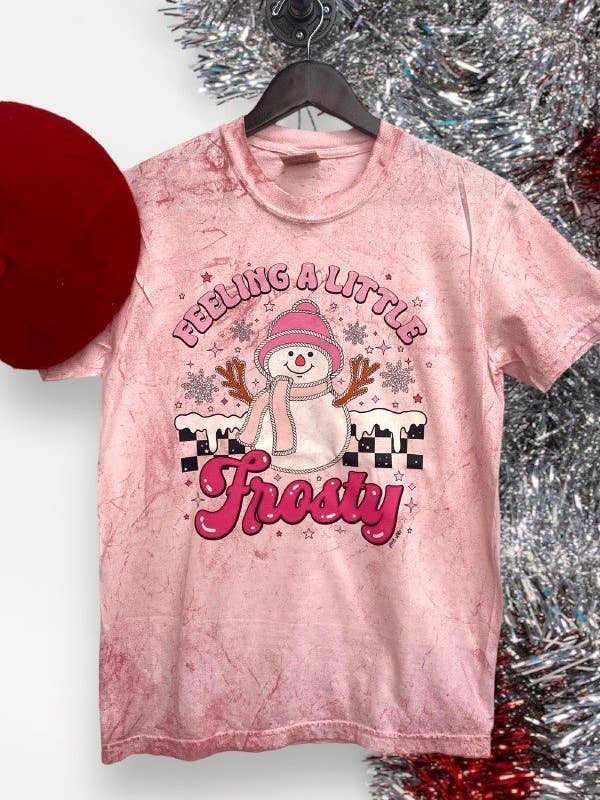 Camiseta estampada CC BLAST DTF FROSTY para venta al por mayor de L&B Life