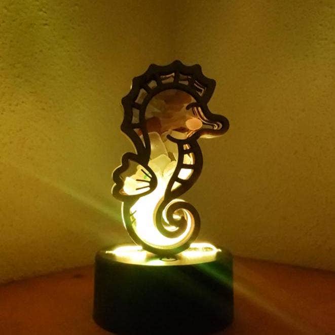 Sea Glass Displays - Wholesale Display Case - Seahorse Sea Glass Shadowbox Display 4 Styles Multicolor