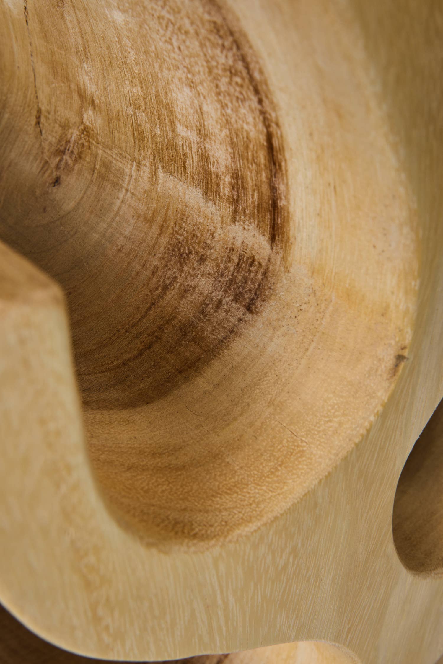 MARRÓN Soporte para 12 botellas de madera de suar de venta al por mayor en Faire2