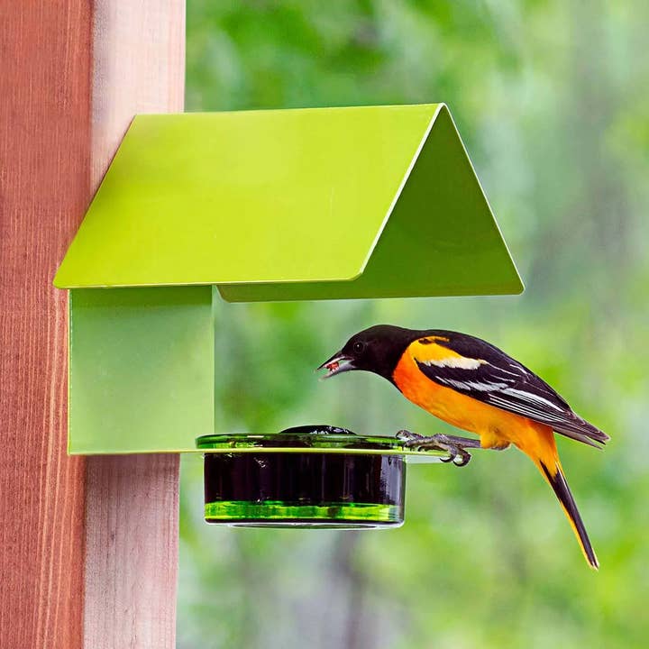 Couronne Co. - Wholesale Bird Feeder - Mosaic Birds Cottage Bird Feeder Lime