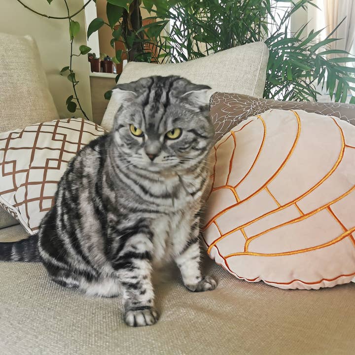 Abound Lifestyle - Wholesale Throw/Decorative Pillow - Concha Bread Decorative Throw Pillow25