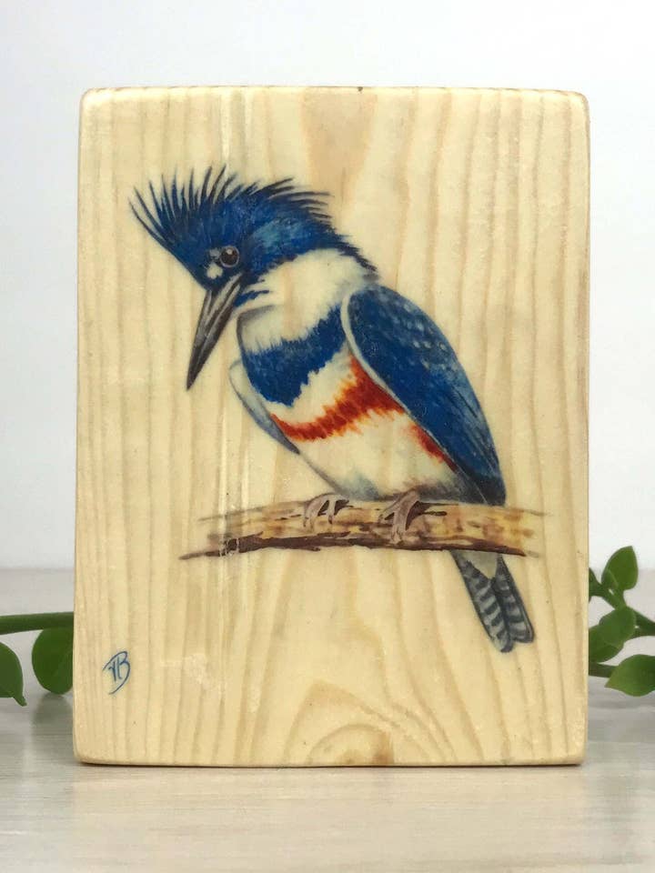 Panneau en bois Belted Kingfisher, impression sur bois Belted Kingfisher pour la vente par Streetlightbirds