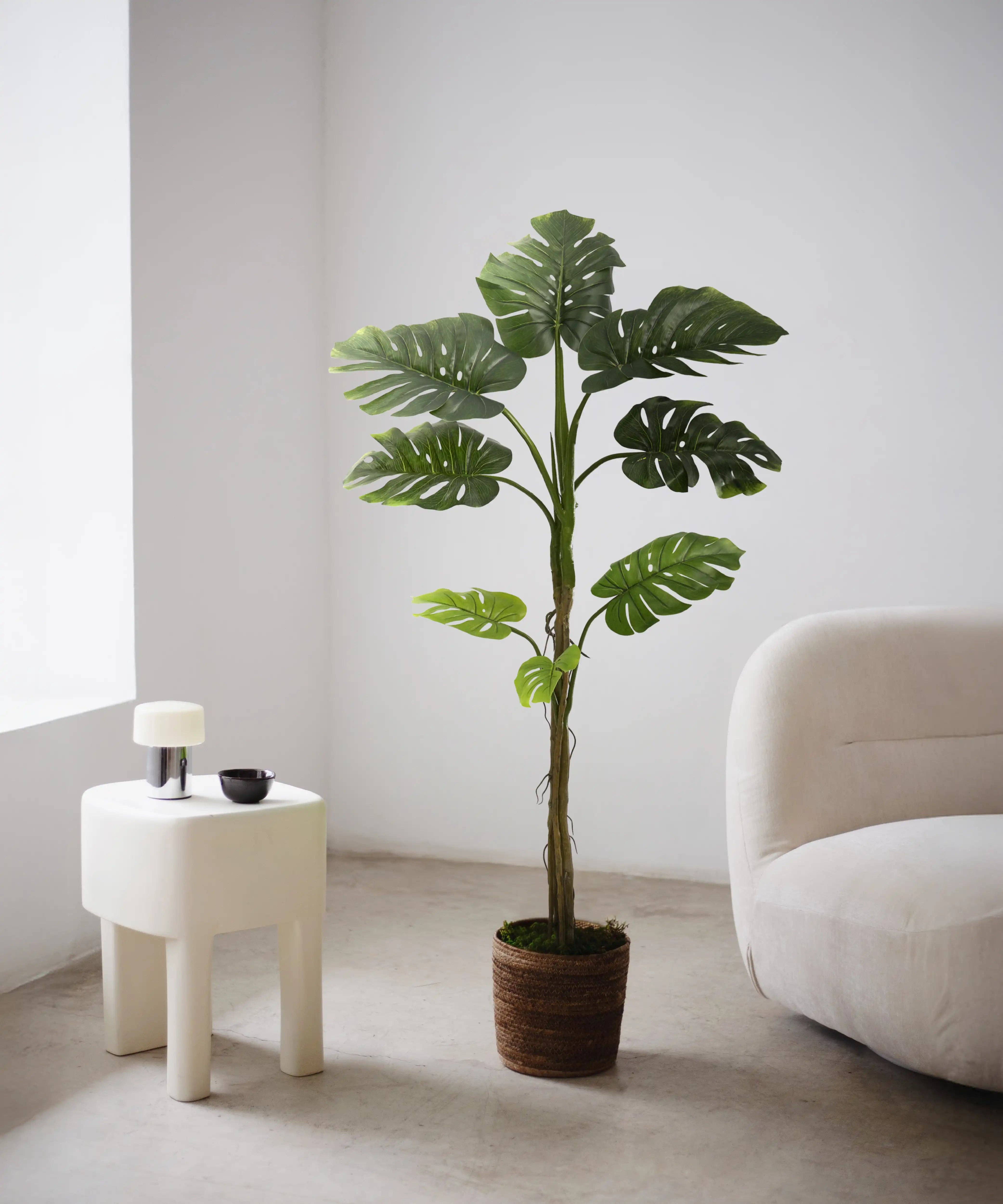Maia Shop – Engroshandel Kunstig plante – Kunstig Monstera0