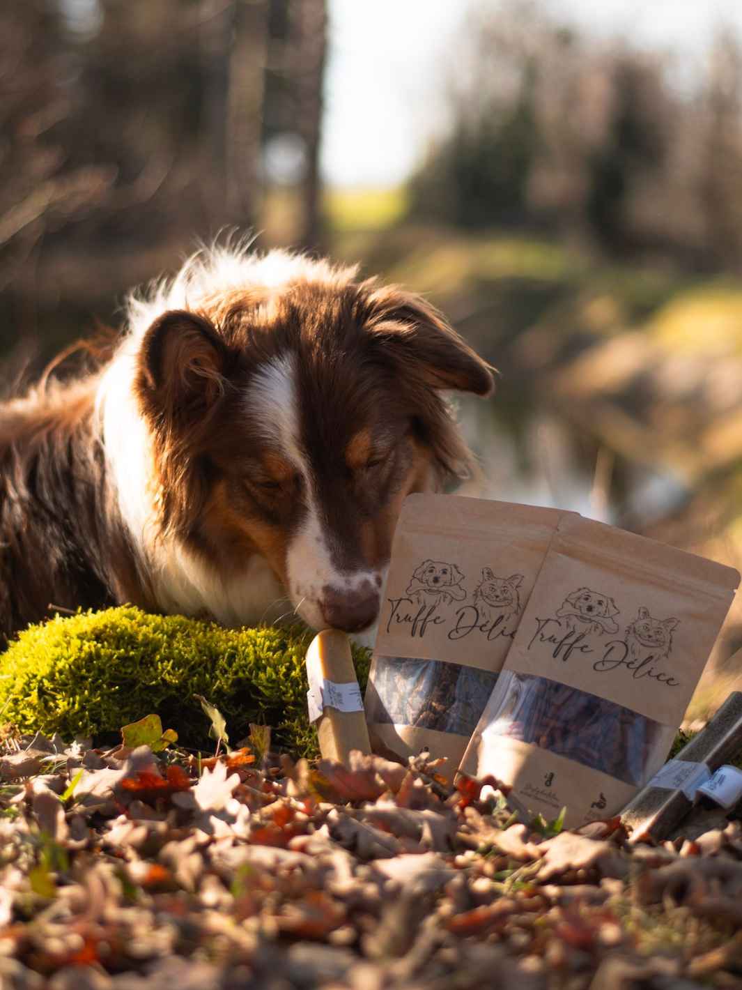 Truffe Délice - Wholesale Pet Treats - Dog - Chicken treats2