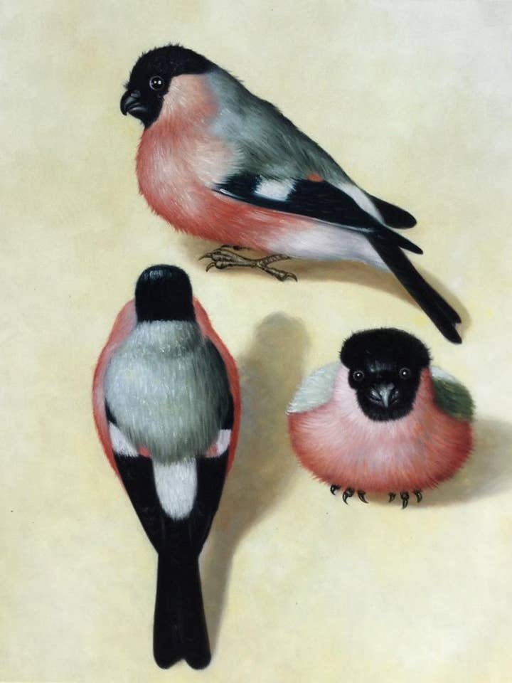 Three Bullfinches for wholesale by La Pastiche