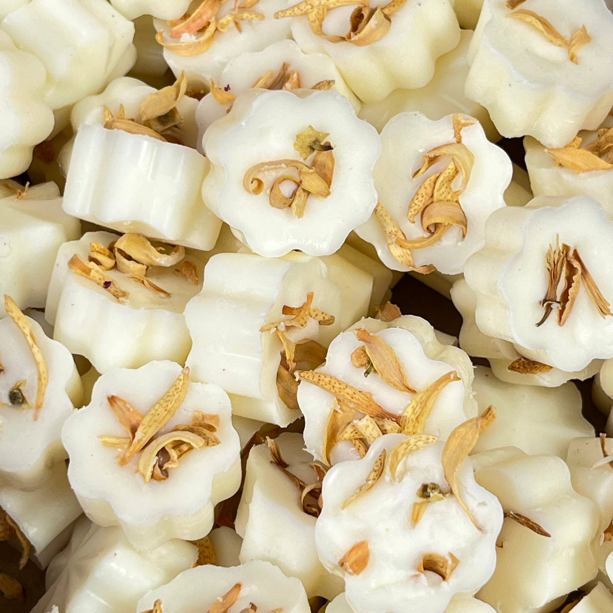 Heaven Scent Incense Ltd - Wholesale Wax Melt - Botanical Mini Wax Melts 600g Box - approx 1009