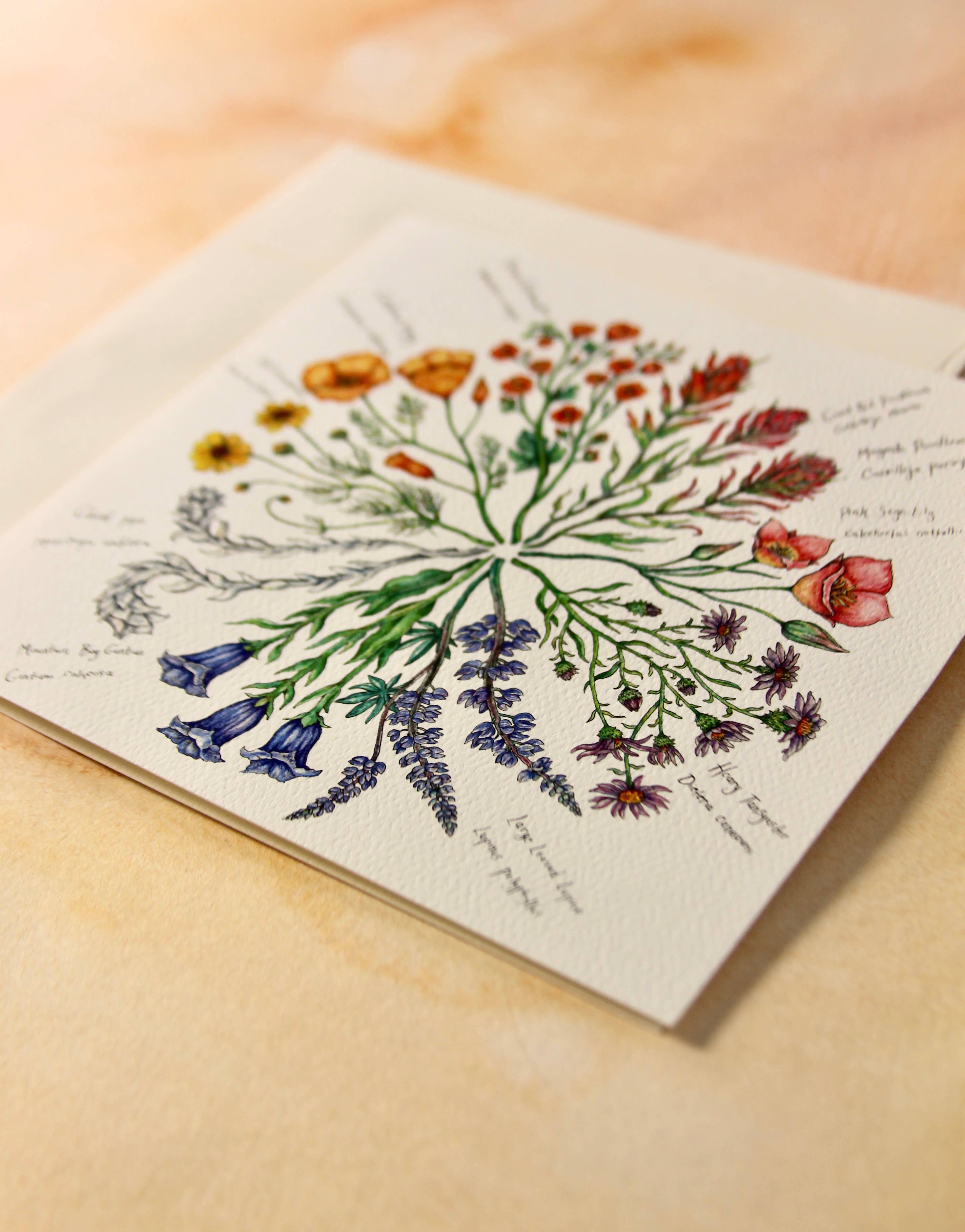 Claire Loon Baldwin Illustration - Wholesale Everyday Greeting Card - Wildflower Color Wheel Greeting Card2