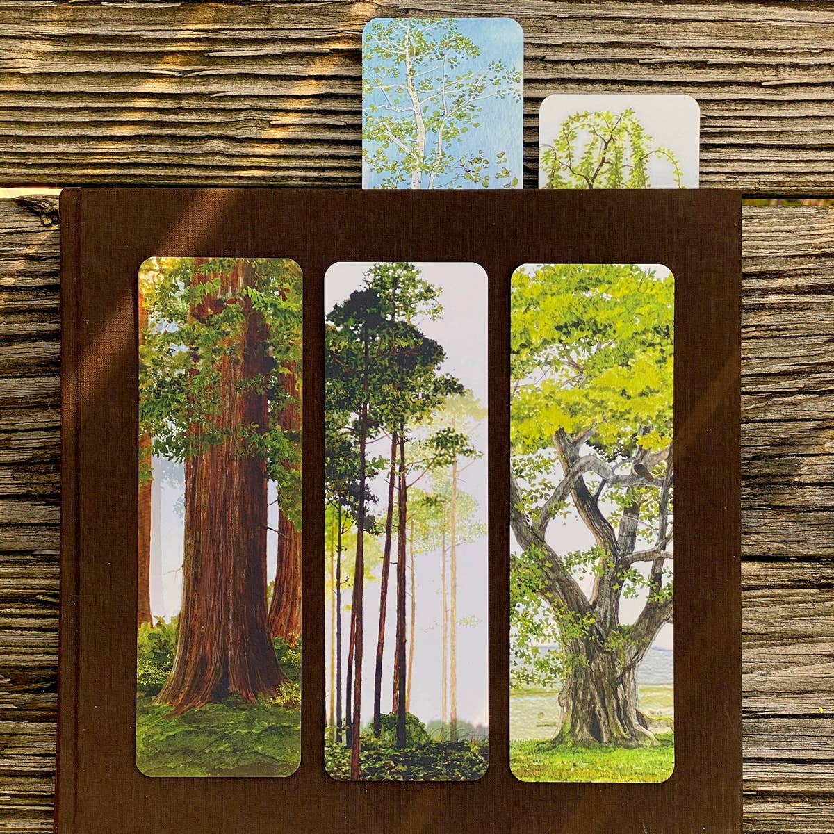 Felix Doolittle - Wholesale Bookmark - Temple of Trees -- Bookmarks - Set of 52