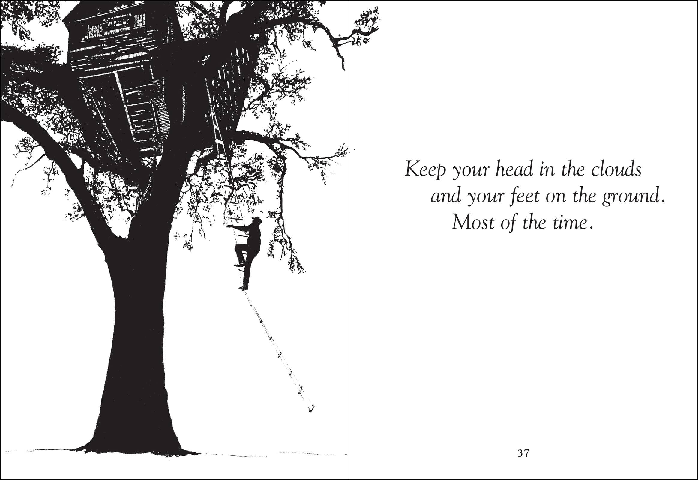 AdventureKEEN - Wholesale Nature & Outdoors - Things Trees Know5